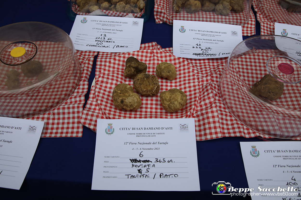VBS_6914 - Fiera dei Santi - 12.ma Fiera Nazionale del Tartufo.jpg